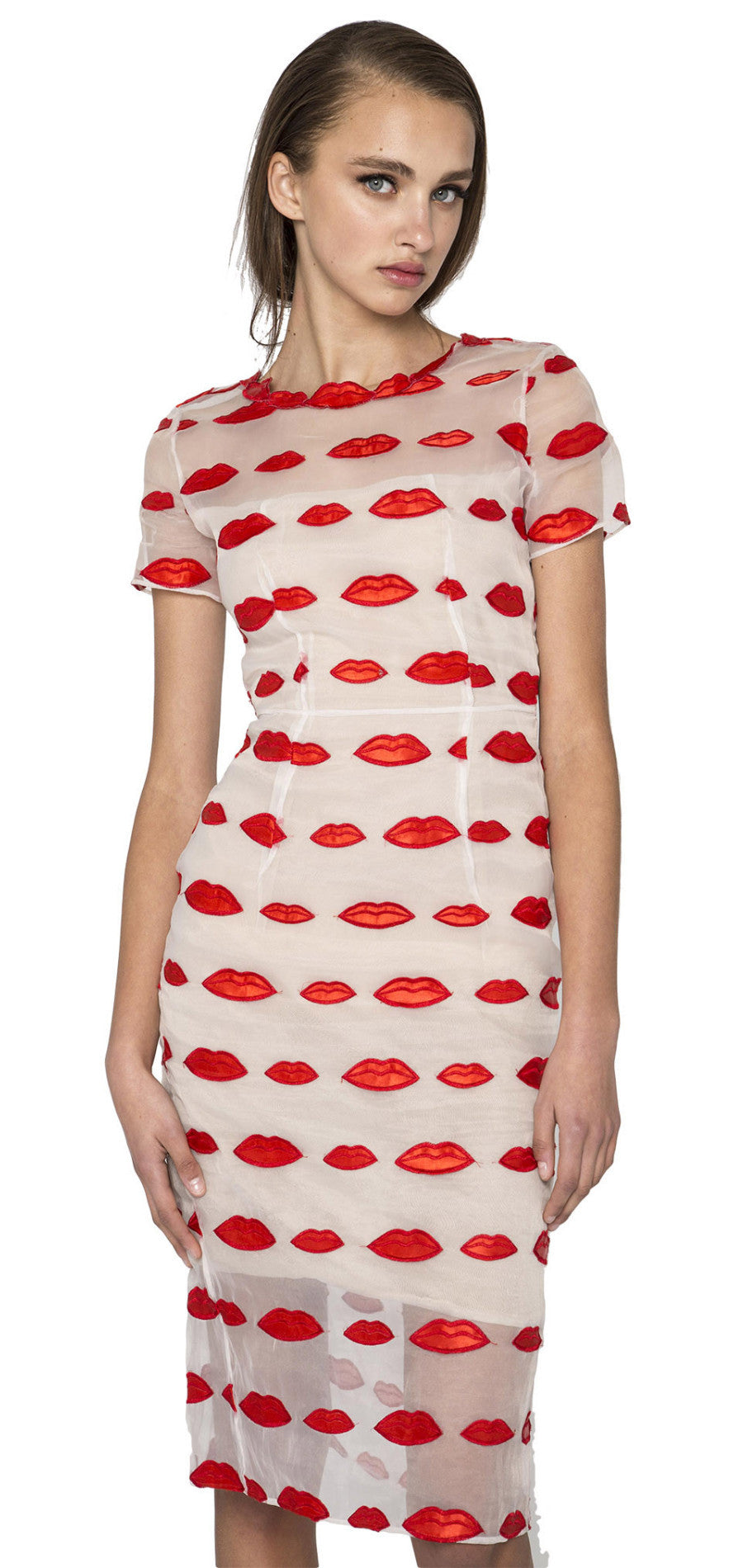 Red lips embroidered Dress