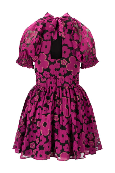 Dress Emily plum burnout
