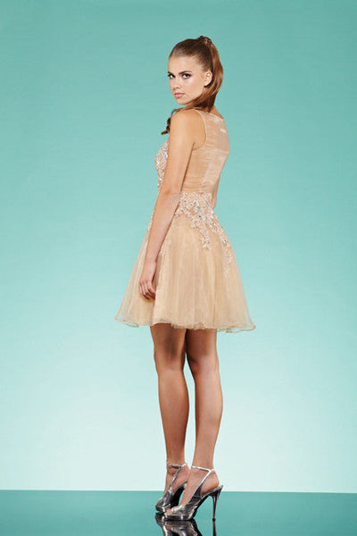 Silk organza beaded dress