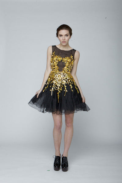 Silk organza beaded dress