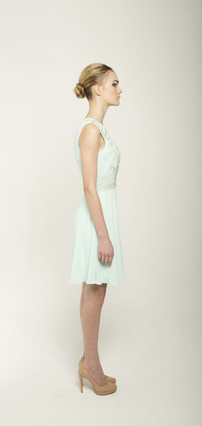 Chiffon lace and bead embellished dress