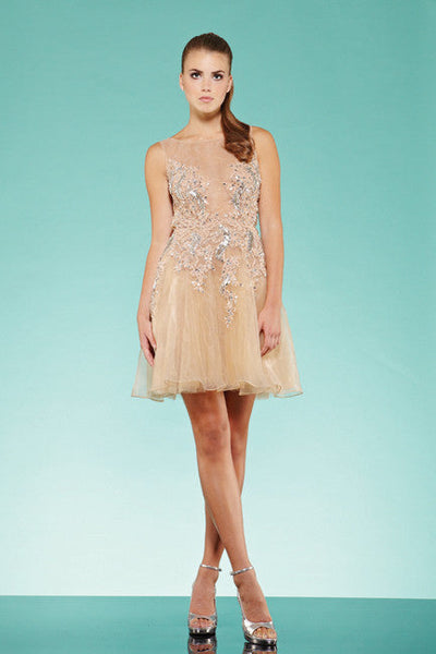 Silk organza beaded dress