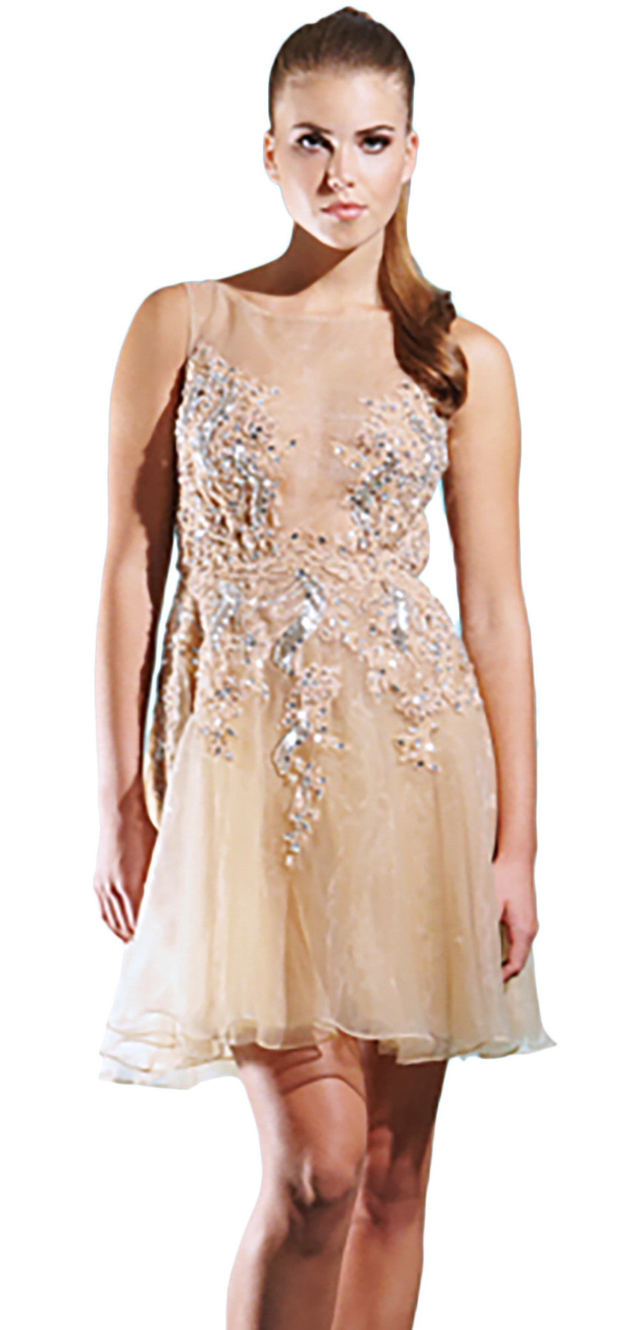 Silk organza beaded dress