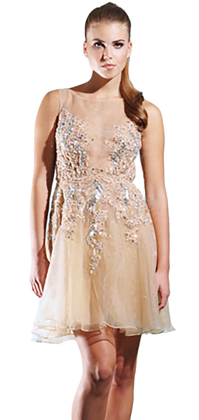 Silk organza beaded dress