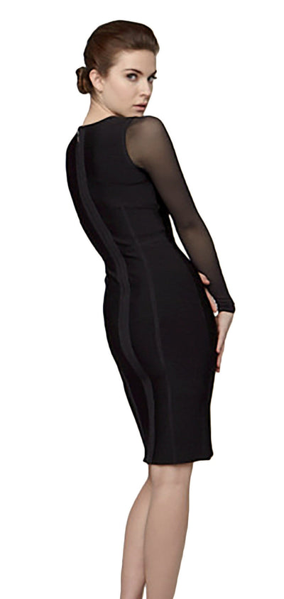 Bodycon with sheer details dress