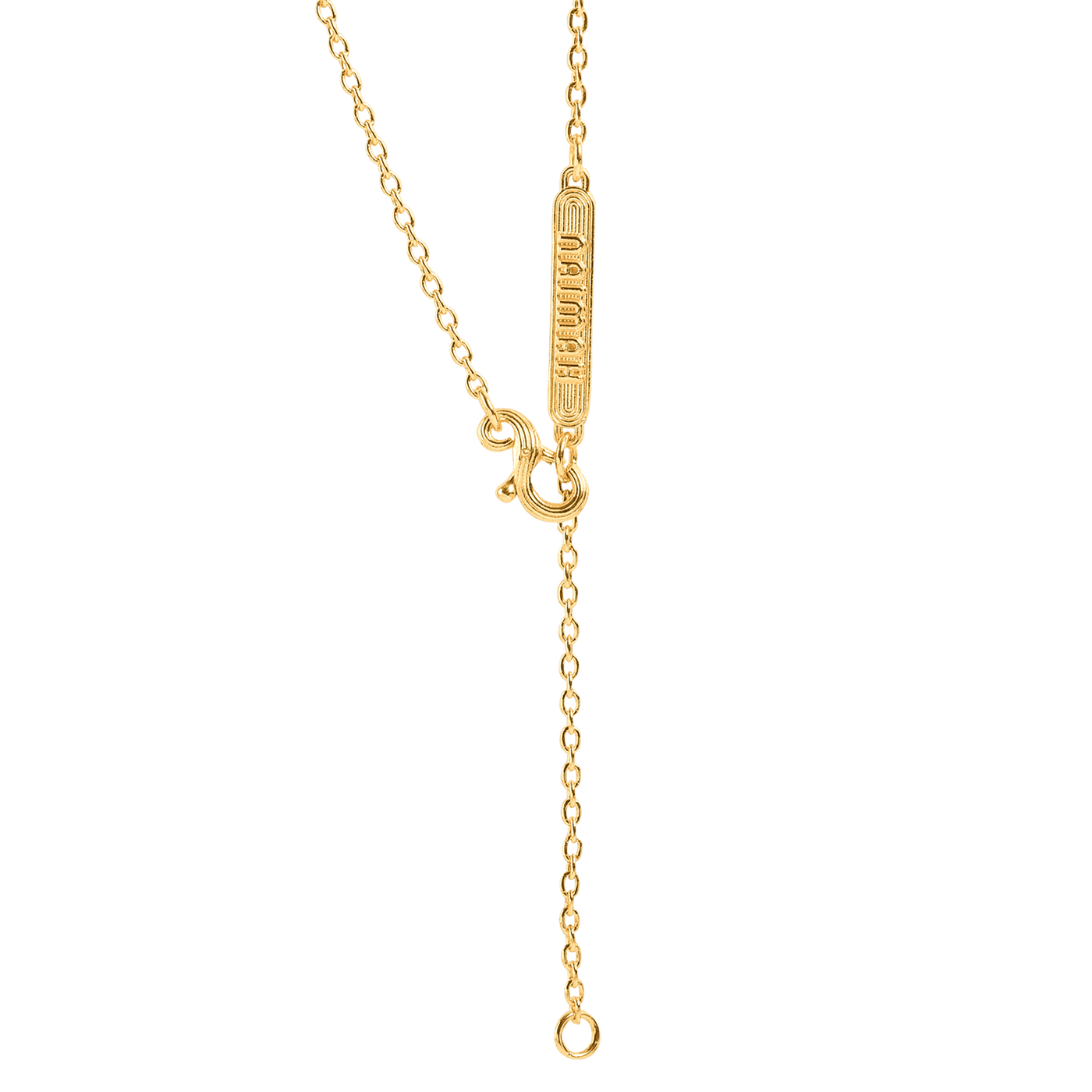 Lion Whistle Necklace