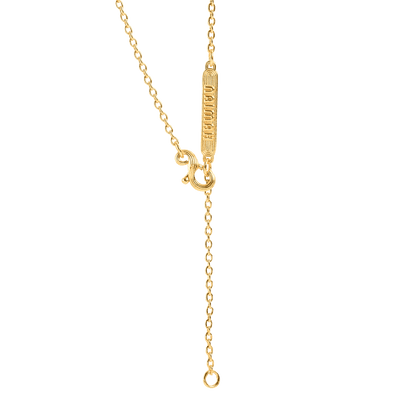 Lion Whistle Necklace