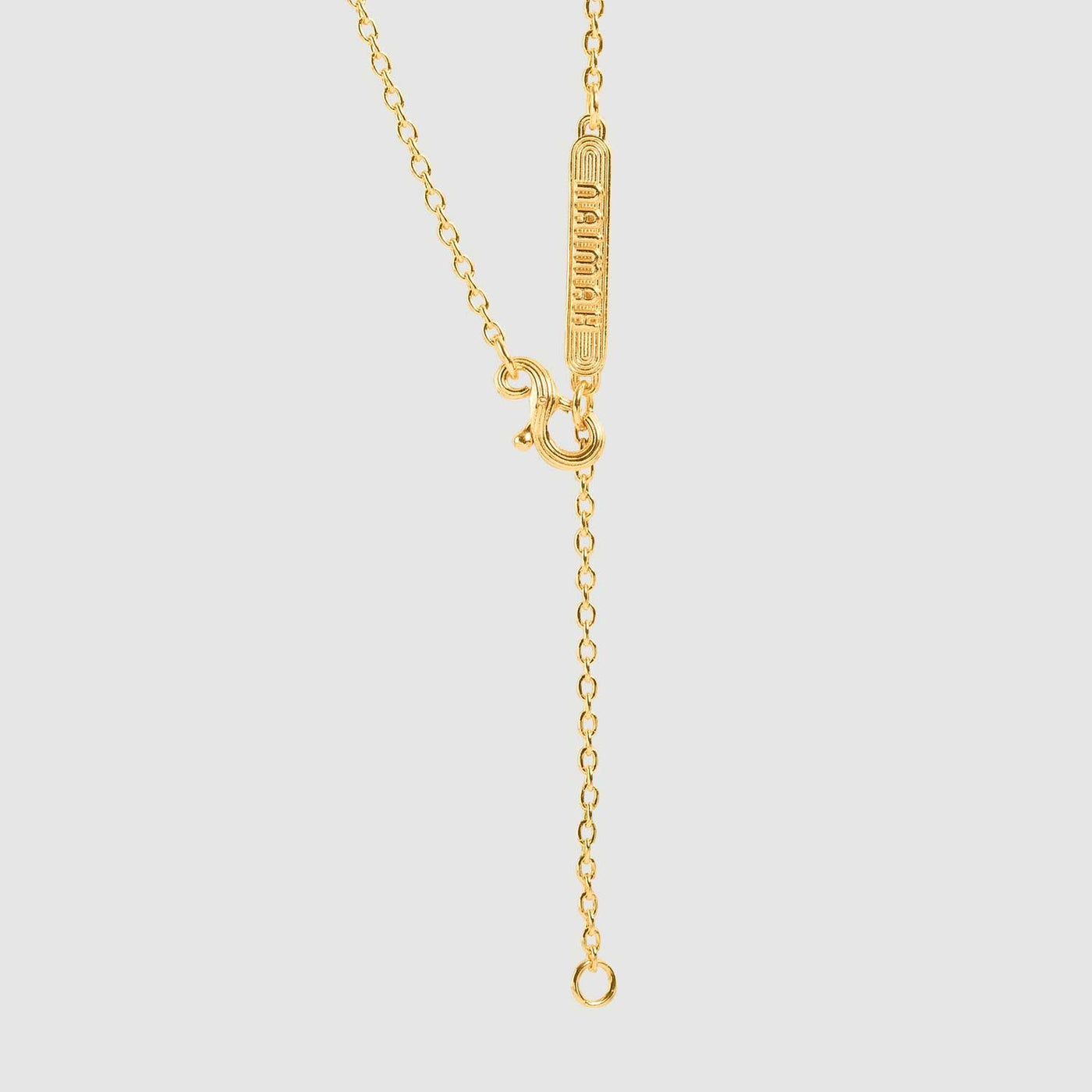 Horse Whistle Necklace