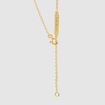 Horse Whistle Necklace