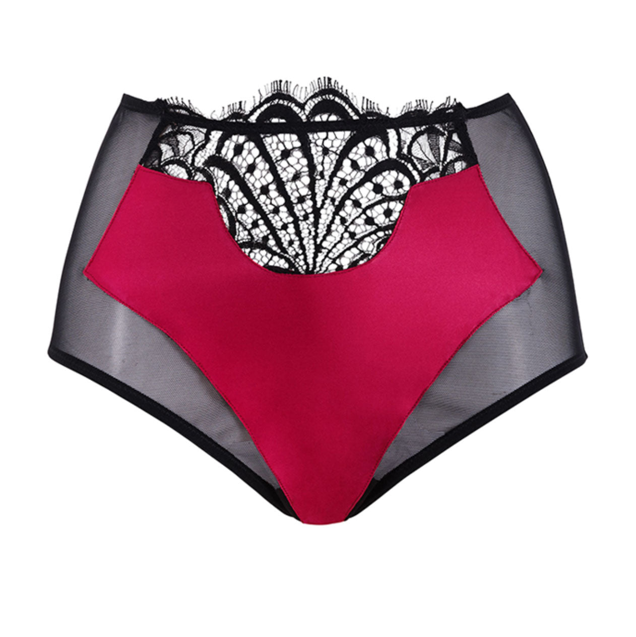 Renée Raspberry High Waisted Brief