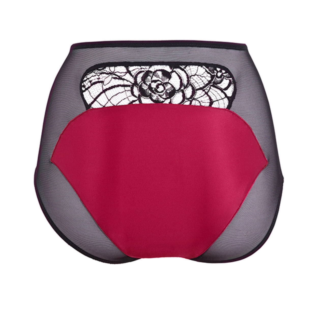 Renée Raspberry High Waisted Brief