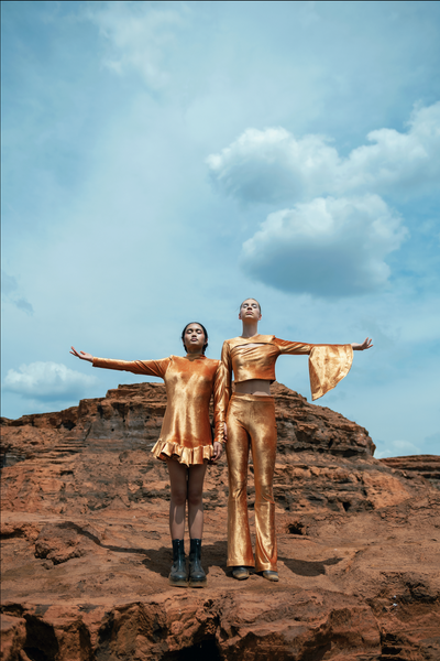 Bronze Velvet Bell Pants