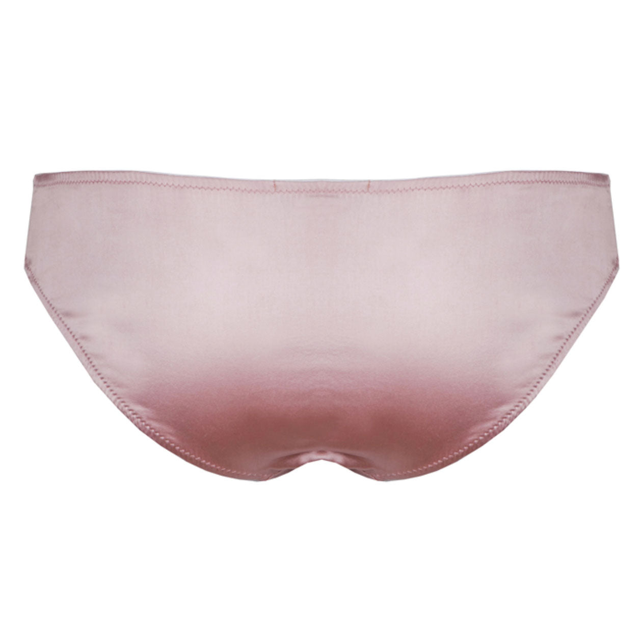 Signature Vintage Rose Skinny Brief