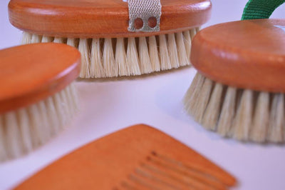 SEA-BISCUIT brushes set