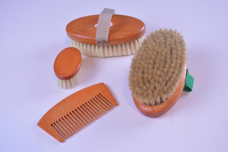 SEA-BISCUIT brushes set